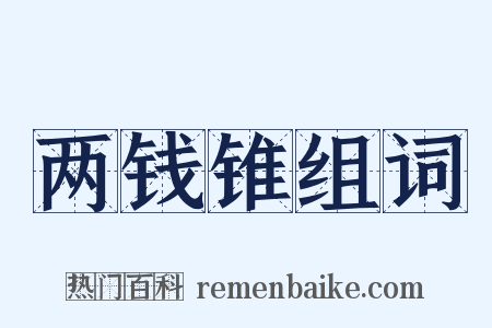 两钱锥组词是什么意思的图片